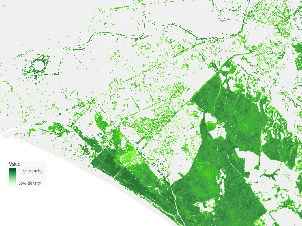 Percentage of tree cover map - Biosat